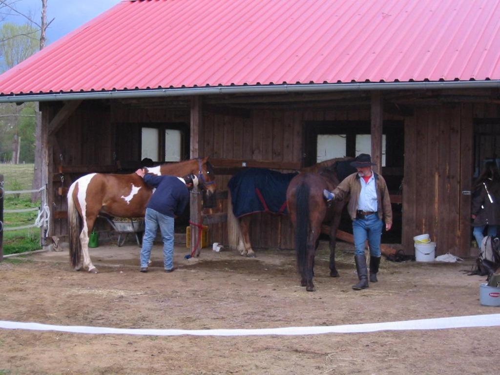 Gasthof Bogenrieder Waidhofen Exteriör bild