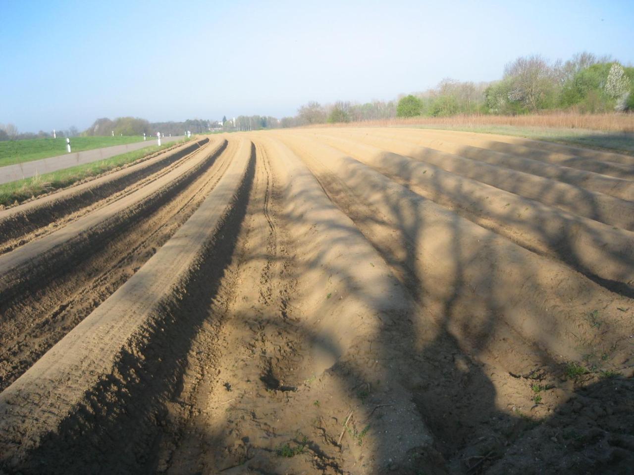 Gasthof Bogenrieder Waidhofen Exteriör bild